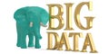 Low poly elephant and big data isolated on white background 3D i Royalty Free Stock Photo