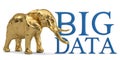 Low poly elephant and big data isolated on white background 3D i Royalty Free Stock Photo