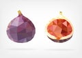 Low Poly Fig fruit Royalty Free Stock Photo