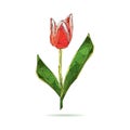 Low poly flower tulip with a stroke. Polygonal logo vector design.