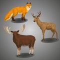 Low poly forest animal compilation. Vector illustration set in polygonal style.