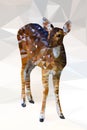 Low poly geometric of deer Royalty Free Stock Photo