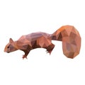 Low poly illustration art squirrel