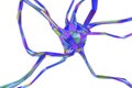 Low-poly illustration of neuron