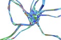 Low-poly illustration of neuron