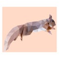 Low poly illustration of squirrel