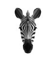 Low poly illustration. Triangle art, zebra head