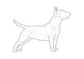 Low poly illustrations of dogs. Bull Terrier standing.