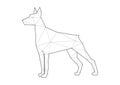 Low poly illustrations of dogs. Doberman standing.