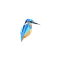 Low Poly Kingfisher Royalty Free Stock Photo