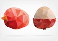 Low Poly Lychee fruit Royalty Free Stock Photo