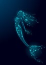 Low poly mermaid triangle myth creature fairy fantasy mystic. Poligonal point line glowing blue dark night constellation