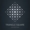 The low-poly mesh. Modern stylish logo. Design element with squares, triangles and rhombus. Vector logotype template. Grid