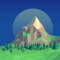 Low poly night summer landscape 3d