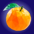 Low poly orange illustration