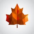 Low poly orange leaf. Royalty Free Stock Photo