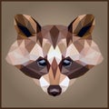 Low poly Raccoon