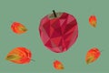 Low poly red apple Royalty Free Stock Photo