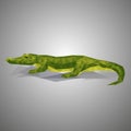 Low poly ÃÂrocodile.