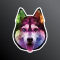 Low poly siberian husky dog head