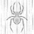 Low poly spider hacker attack danger. Web security virus data safety antivirus concept. Polygonal modern design business