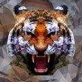 Low poly tiger design, vector illustration Royalty Free Stock Photo