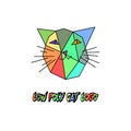 Low poly vector cat logo.Triengles poligonal colorful kitty head for kids.