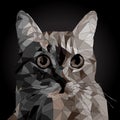 Low poly Vector Portrait of a cool Cat Royalty Free Stock Photo