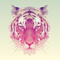 Low Poly Vector Tiger Illustration