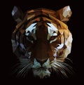 Low Poly Vector Tiger Illustration