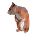 Low poly wild design vector squirrel