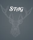 Low poly wireframe stag head on gray background Royalty Free Stock Photo