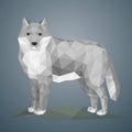 Low poly wolf. Vector illustration in polygonal style.