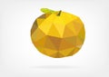 Low Poly Yuzu fruit