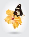 Low polygon butterfly white dot black stripe wings on yellow hibiscus flower isolated on white background.