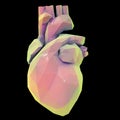 Low polygonal heart