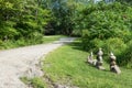 Pyramids composed of small stones at the edge of the road Royalty Free Stock Photo