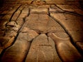 Low relief at the Kom-Ombo temple (Egypt) Royalty Free Stock Photo