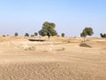 Low sand dunes, white sand in a Dubai desert with a few trees against the cloudless sky Royalty Free Stock Photo