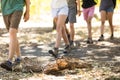 Low section of friends walking on field