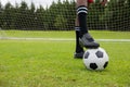 Low section of male soccer player with ball on field