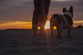 Low section of man with dog standing at beach against sky during sunset Royalty Free Stock Photo