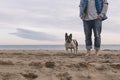 Low section of man with dog standing at beach against sky in winter Royalty Free Stock Photo