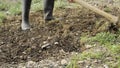 Low section of man working the soil. Farmering concept