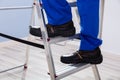 Handyman Climbing Ladder