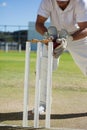 Low section of wicketkeeper catching ball behind stumps Royalty Free Stock Photo