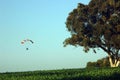 Low skydiving with motor parachute Royalty Free Stock Photo