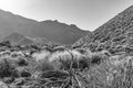 The low standing Sun colors the rugged landscape with Rough scrub and rocks around the volcano El Teide on the island of Tenerife, Royalty Free Stock Photo