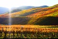 low sun on colorful Ahr valley vineyard hills one year before the flood