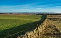 Late afternoon walk in the Pentlands Royalty Free Stock Photo